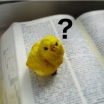 楽しく勉教!幼児・幼稚園児のこども向けマルバツクイズ問題